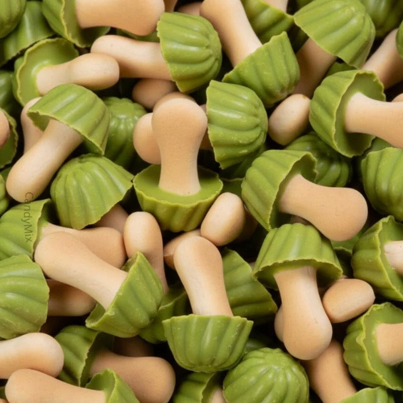 CHAMPIGNONS À LA PISTACHE (LOTS DE 10)