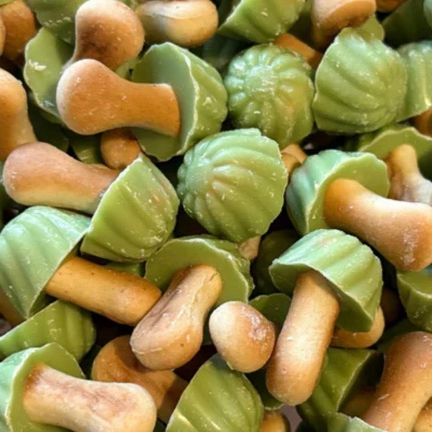 Champignon à la pistache (lot de 10)