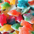Tortue sucrée halal (100g)