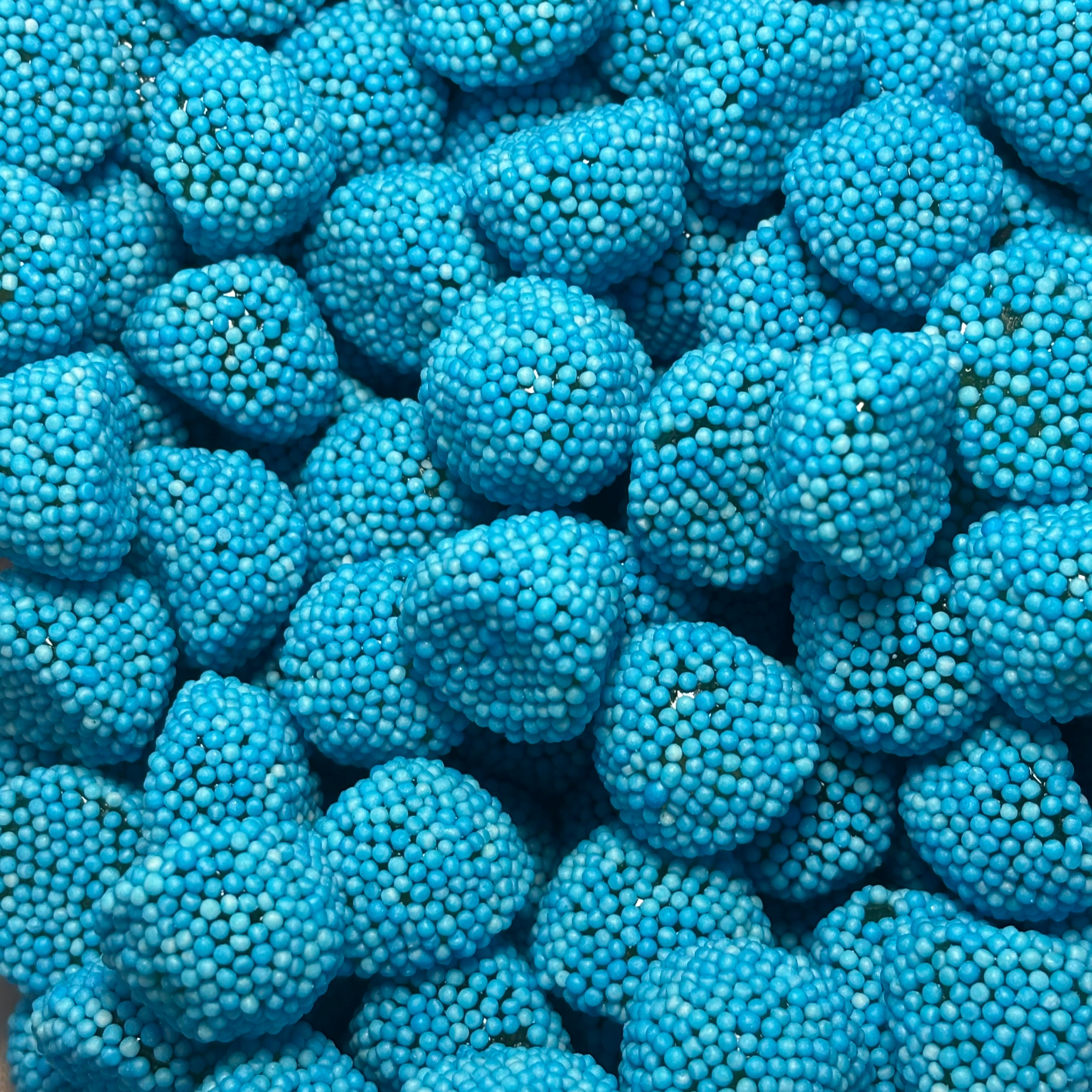 MÛRES BLEU HALAL (100g)