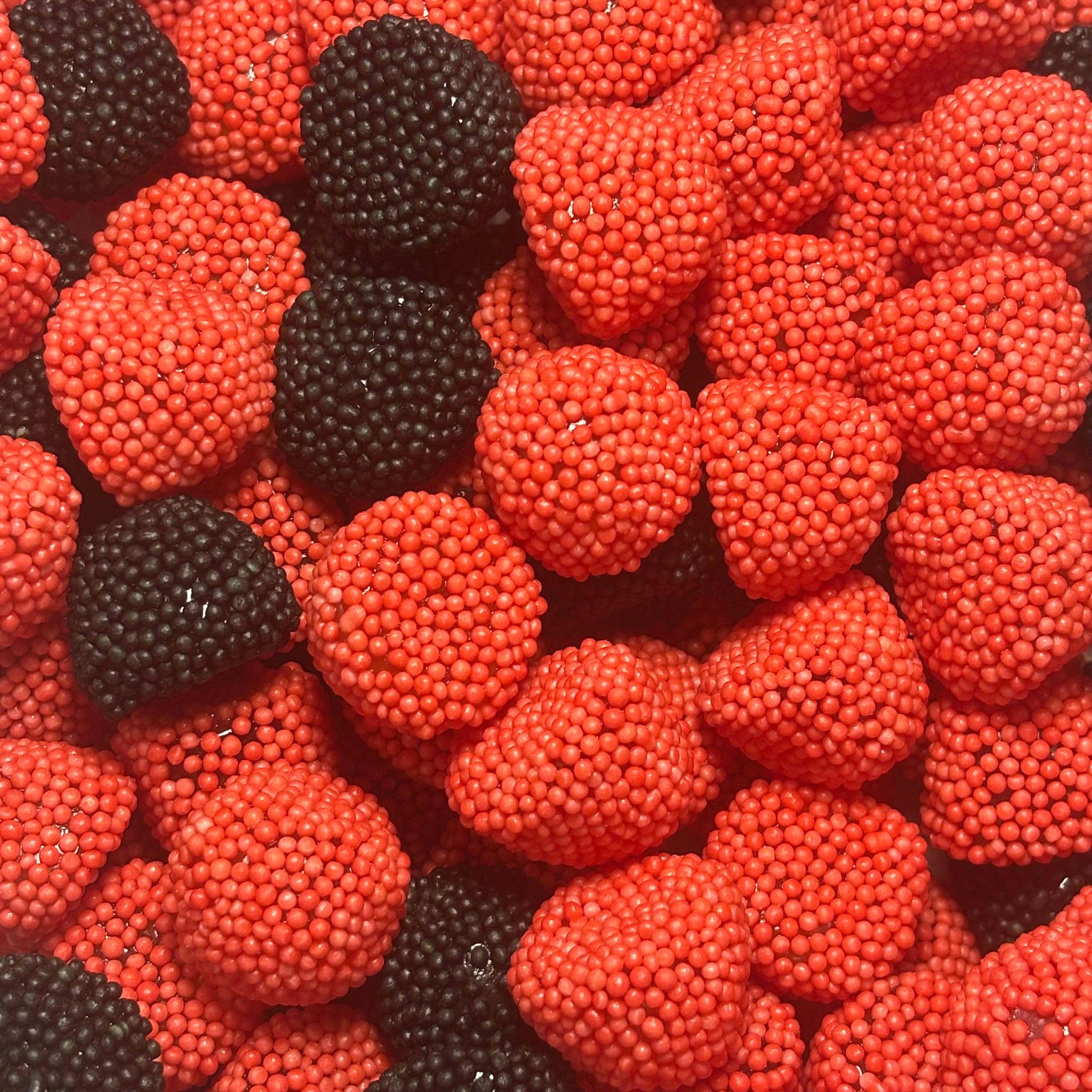 MÛRE DU BOIS HALAL (100g)