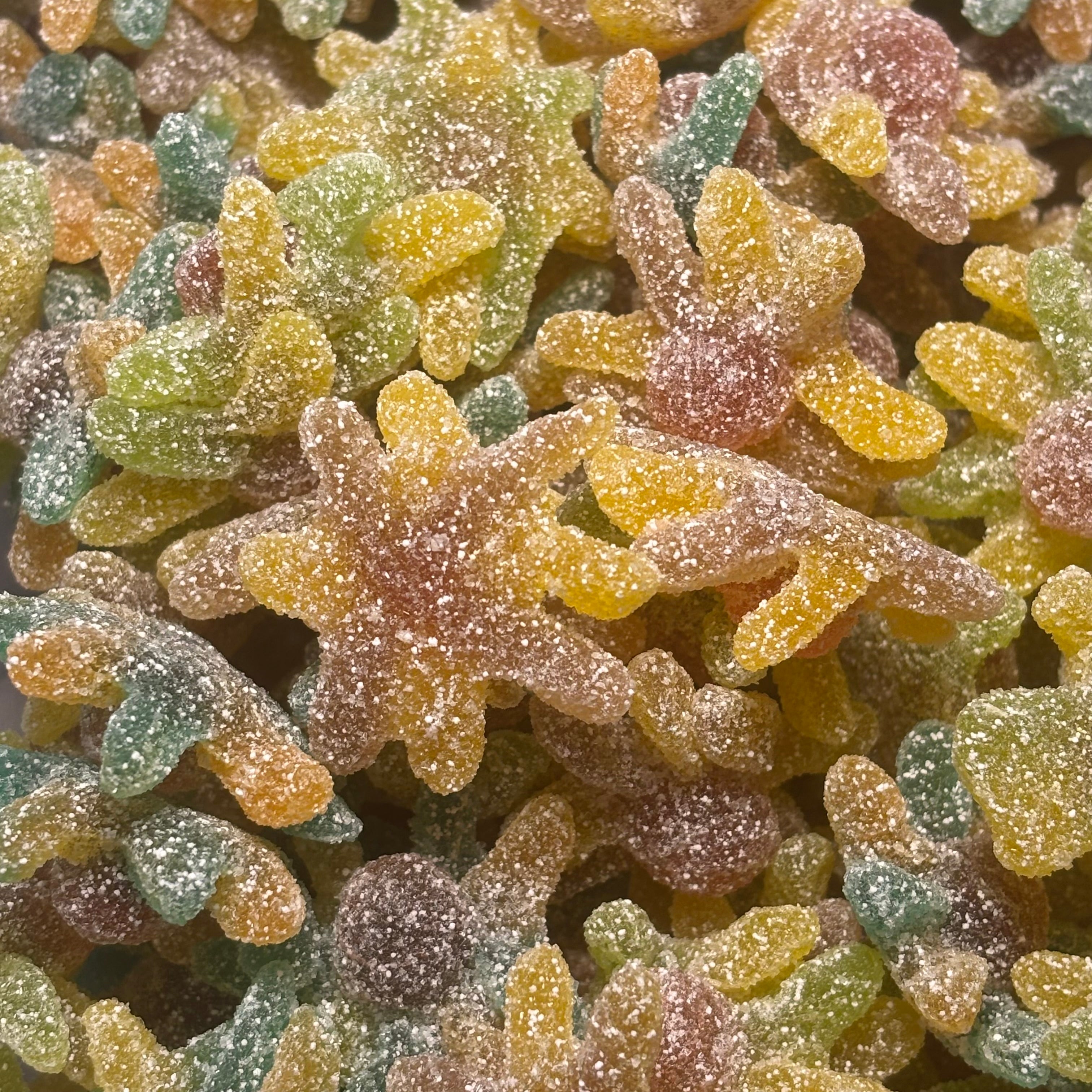 PIEUVRE ACIDE HALAL (100g)