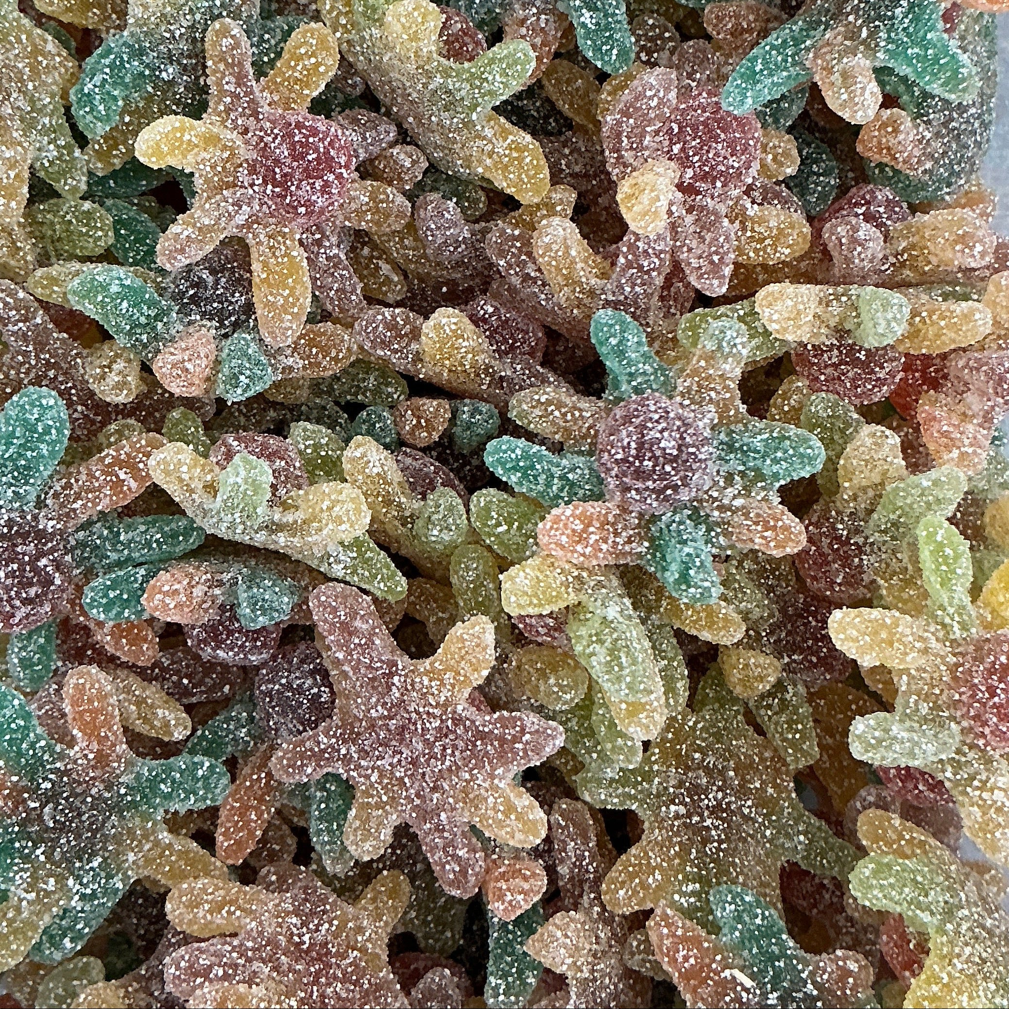 Pieuvre acide halal (100g)